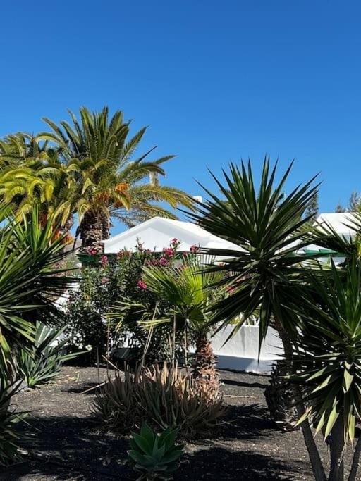 Apartamento Lovely Casita Jade Playa Blanca (Lanzarote)