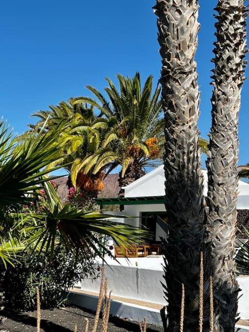 Apartamento Lovely Casita Jade