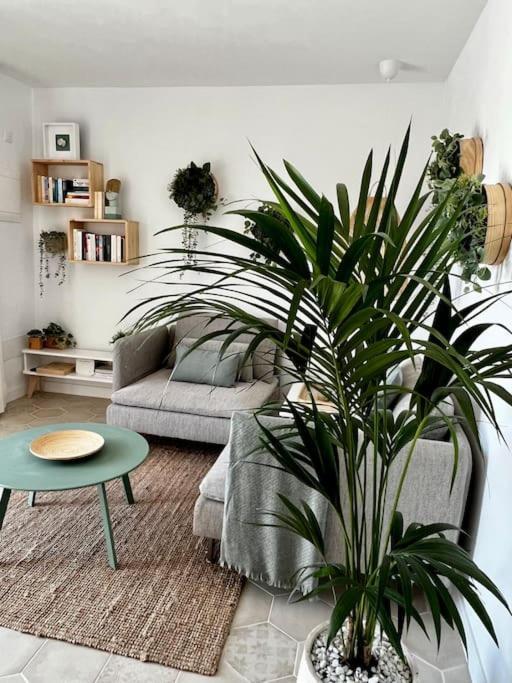Apartamento Lovely Casita Jade *